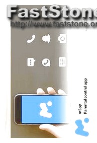 Como Funciona O Trabalho Mspy